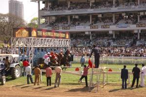 Bateleur may shock New England on current form