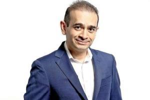 Nirav Modi's defence team uses his pet dog in attempt to win bail