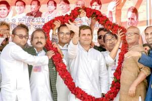 'This election will be the most alliance-friendly one for Congress'