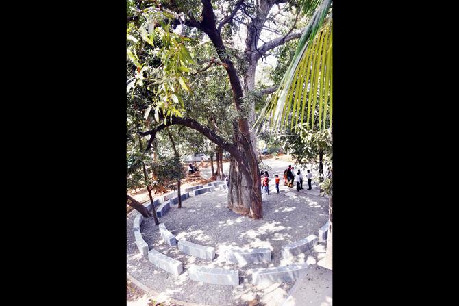 A circular stone seating has been created around the iconic and century-old baobab tree near the Children