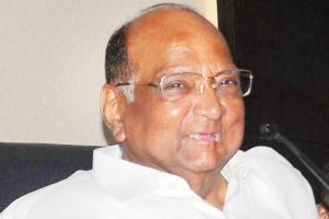 Did sibling rivalry prompt grand-nephew to tell Pawar to reconsider?