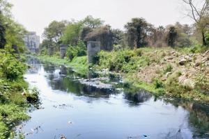 Untreated sewage continues to deface Ulhas river