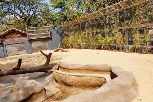 Here's how Wadala resident is maintaining Byculla Zoo beautiful