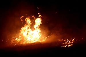 Fire breaks out at Shivneri luxury buses garage in Pune