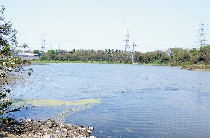 Debris and waste are being dumped in and around the Lokhandwala lake for years