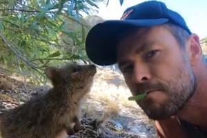 Chris Hemsworth shares selfie with quokka