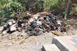 Mumbai: Lokhandwala lake clean-up begins after 10 years