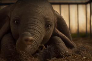Dumbo Movie Review - Cute and appealing but not Burton's style