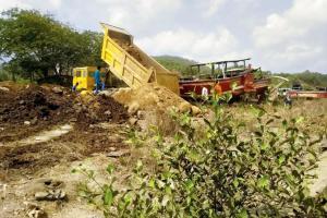 A tale of two reports: TMC tweaks mangrove destruction note