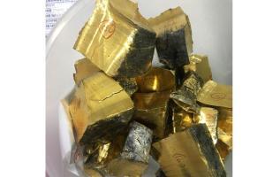 Mumbai Crime: Seven held, over 100 kg of smuggled gold seized in Dongri