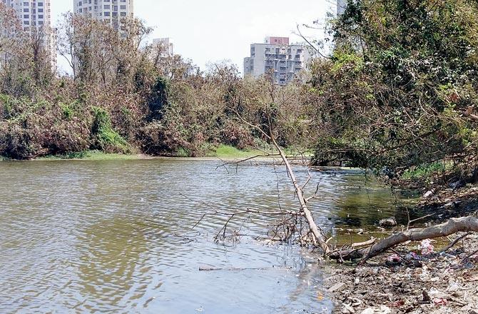 Debris and waste are being dumped in and around the Lokhandwala lake for years