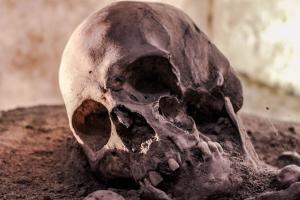 Woman's skeletal remains found along highway in Palghar