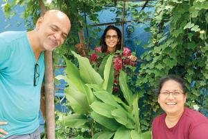 Learn seed saving at this workshop in Bandra