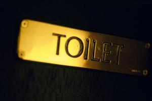 70-year-old woman lives in toilet after dispute with family
