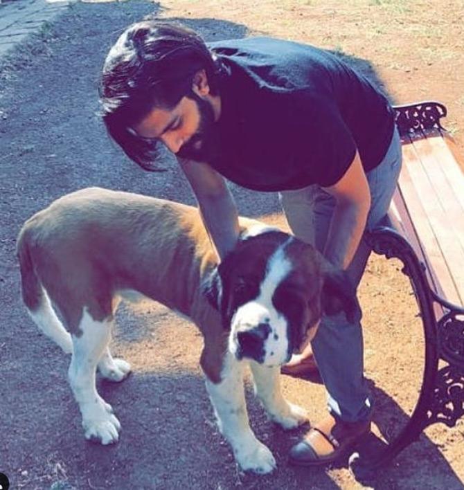 Besides being a cartoonist and an environmentalist, Amit Thackeray is also an ardent animal lover and loves dogs. Through his Insta posts, Amit has never shied away from showing his unconditional love for pets especially dogs.
In pic: Amit Thackeray enjoys spending time with his pet dog.