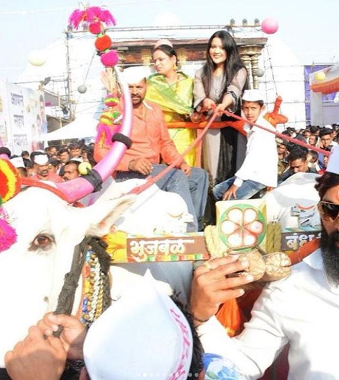 By the looks of this photo, Amruta Fadnavis also knows to ride a bullock cart. While attending an event in Pune, Amruta rode a bullock cart with much ease and comfort.