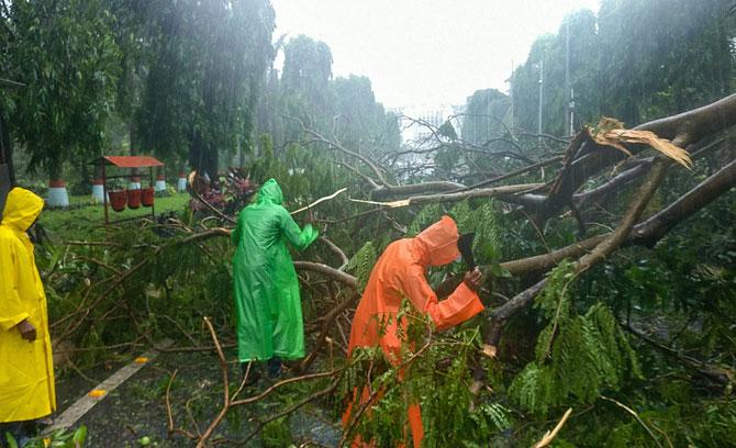 In Odisha, widespread damages to property have been reported as thousands of trees and electricity poles were uprooted under the impact of the cyclonic storm which made its landfall in Puri