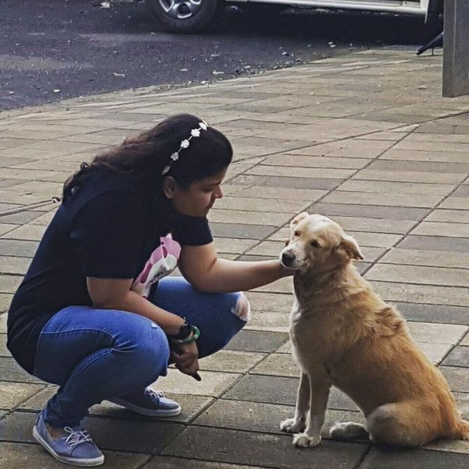 In pic: Being a pet lover and mother that she is, Poonam Mahajan interacts with a street dog as she showers him with all her love and care. She captioned this pic: Rani, my partner in crime. Lives in my office helps me to work and destress!
