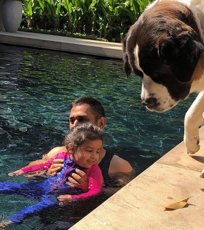 One of MS Dhoni's pets seems to be feeling left out as Ziva Dhoni is enjoying a pool-time with her dad. 