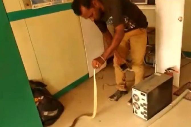 Snake takes refuge in ATM kiosk; enjoys chilled weather:
A snake taking refuge inside an ATM kiosk in order to save itself from the sweltering heat outside had taken the internet by storm. In the viral video, a snake-catcher was seen rescuing the reptile from the cabinet which is adjacent to the ATM machine located on Thaneerpandal Road in Coimbatore, Tamil Nadu. The video shows the snake-catcher kneeling down to get a grip on the slithery animal in order to remove it from the ATM kiosk. However, after the catcher successfully removed the snake from his hiding place, the reptile was seen getting into a fit of rage. The snake wasn't happy and made several efforts to attack the snake-catcher.
In pic: A screengrab of the viral video shows the snake catcher trying to get hold of the snake