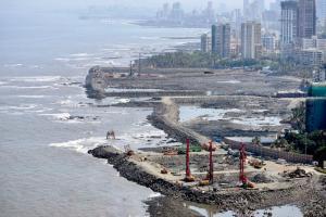 Mumbai: Coastal Road trees toll goes up to near 1000