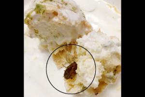 Mumbai: Colaba resident finds cockroach inside Dahi Vada 