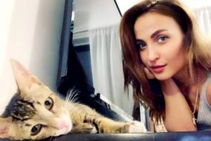 Elli AvrRam adopts stray cat; spends every minute with the pet
