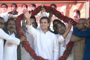 Rahul Gandhi wins Wayanad with a record margin of 431,770 votes