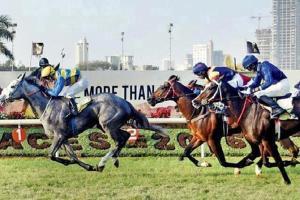 Horse Racing: P S Chouhan fails to get relief from court