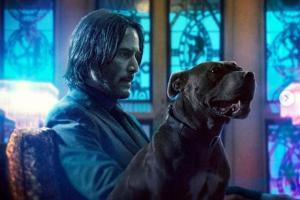 John Wick Chapter 3 Parabellum Movie Review - Stylish but 'Repeat' mayh