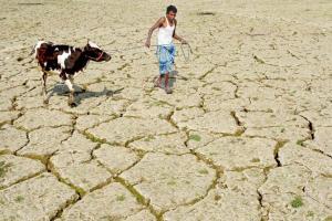 Humans are to blame for droughts, says NASA study