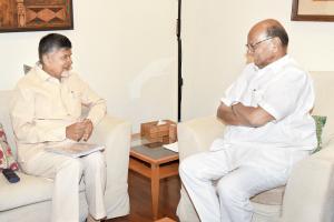 Naidu holds 2nd round of talks with Sonia, Pawar to unite oppn