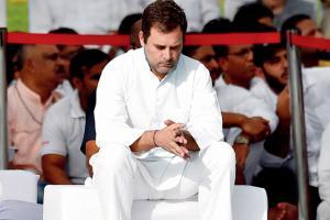 Congress workers sit on hunger strike as Rahul Gandhi firm on quitting