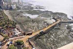 Supreme Court allows work on Mumbai coastal road to resume