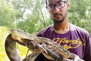 Hiss Stories: When reptiles greeted people at unusual places
