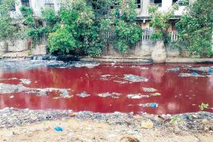Mumbai: Show-cause notices to civic bodies over polluted rivers