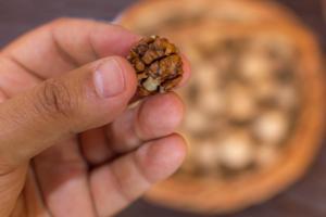 Eating walnuts daily lowers heart disease risk, says new Study