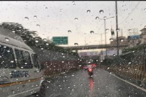 Light drizzle turns Delhi weather pleasant, improves air quality 