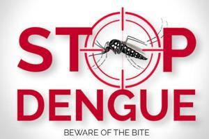 National Dengue Day 2019: Twitterati extends support to create awarenes