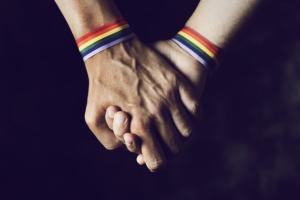LGBTQIA and Survey Fact Sheet: Stifling the Stigma