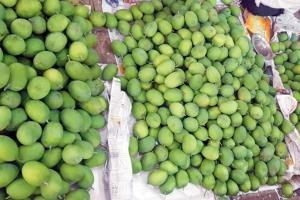 BJP, MNS workers clash in Thane over mango stalls; two arrested