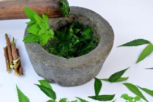 Five incredible benefits of Neem 