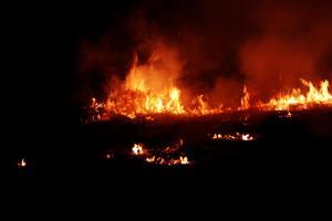 Mumbai: Fire breaks out in rubber factory in Powai