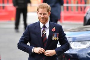 Prince Harry delays Netherlands trip, awaits royal baby