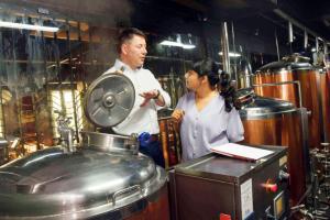 Wort goes into beer?