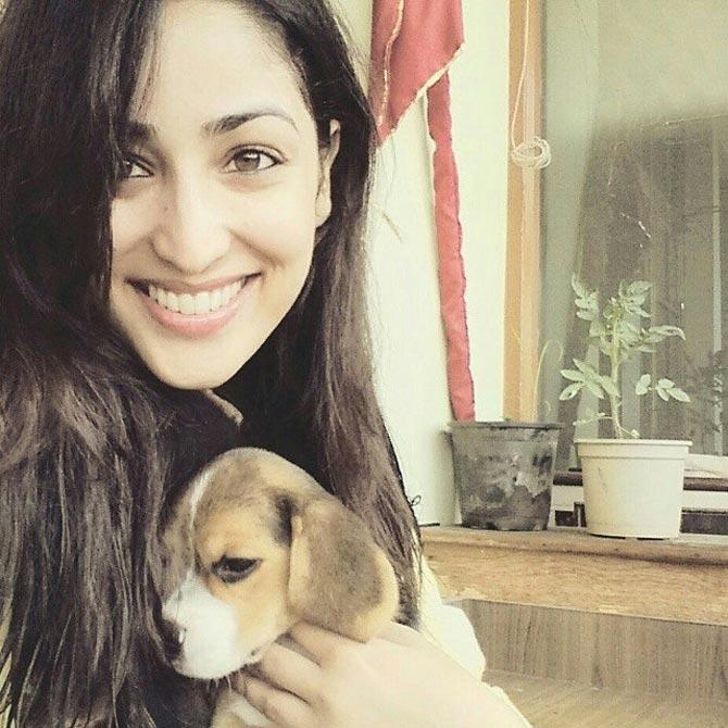 Did you know Yami Gautam loves animals? In fact, Yami was roped in by international organisation WWF to be the voice and face of their campaign for the betterment and awareness for sniffer dogs. Speaking about it, Yami said, 