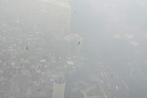 Delhi's air quality still in 'severe' category