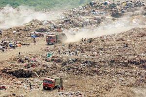 NEERI to consult BMC for better waste management at Deonar ground