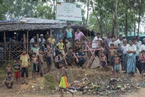Rohingya case matter of 'high national interest', says Myanmar