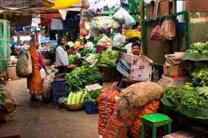 Consumer spending survey on hold due to 'data quality issues': Centre